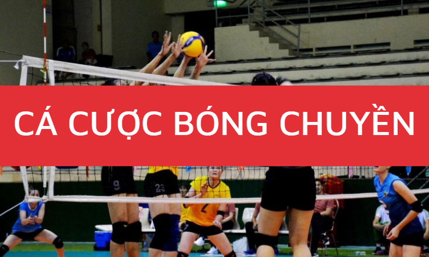 Hướng dẫn cách cá cược bóng chuyền 12bet hiệu quả 1 ca cuoc bong chuyen