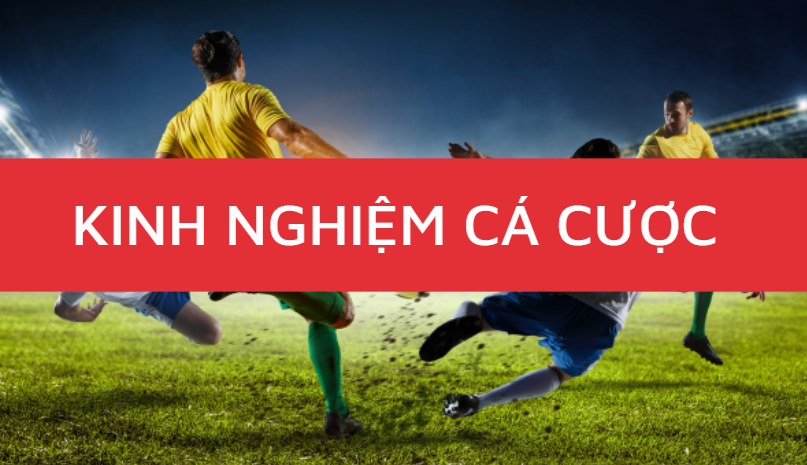 kinh nghiem ca cuoc