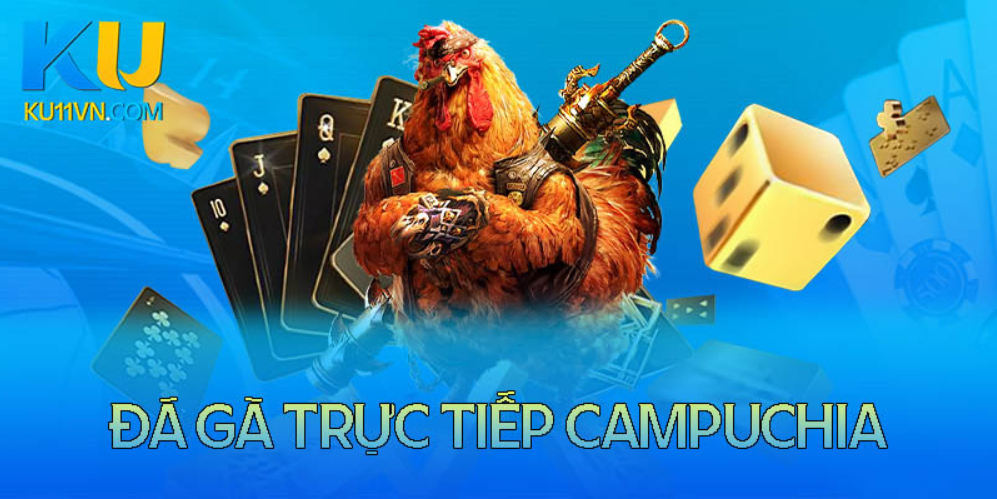 Đá gà trực tiếp Campuchia hôm nay chất lượng đỉnh cao có BLV 1 Screenshot 31